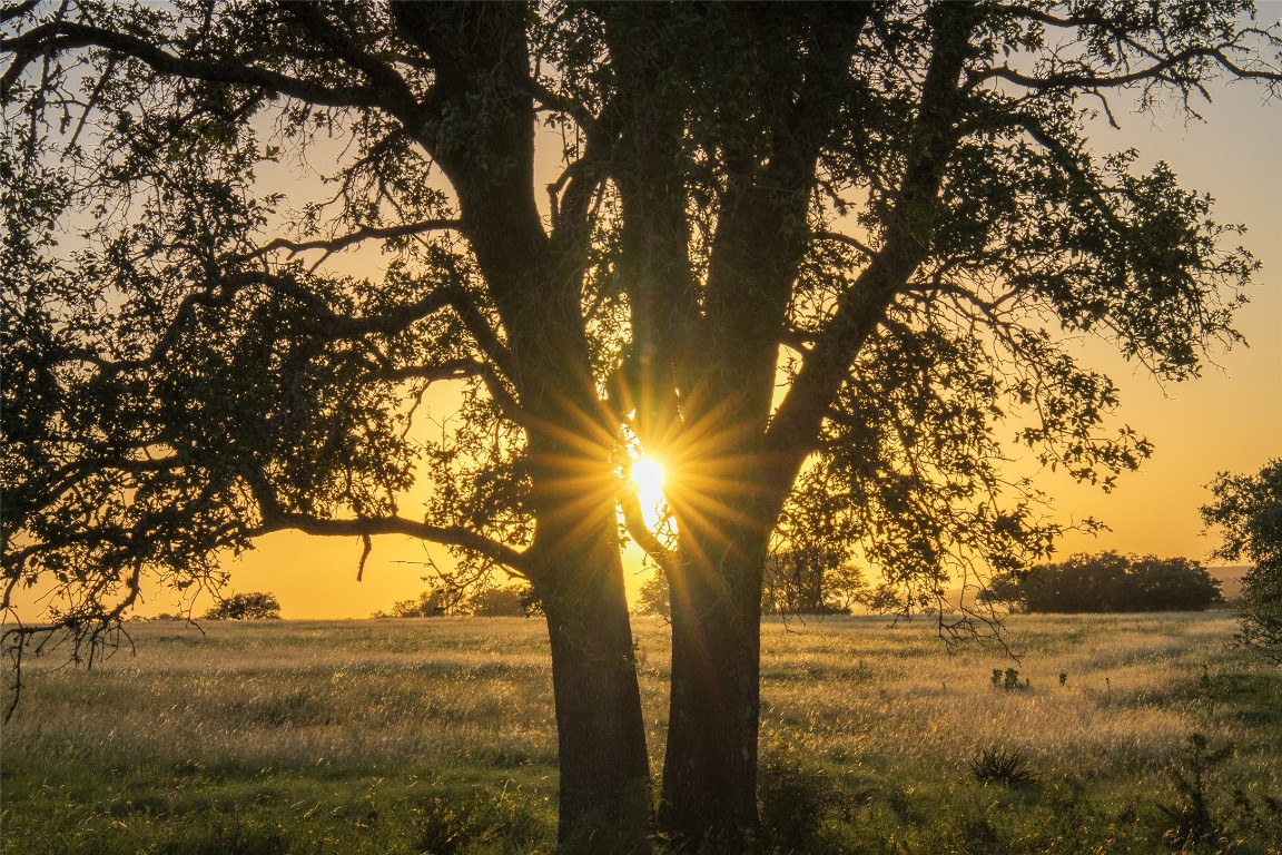 302 Hye-Albert Road Hye, TX 78635 - Photo 23 of 34 a view of mountain view with large trees