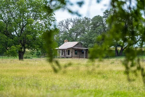 a view of yard with trees
