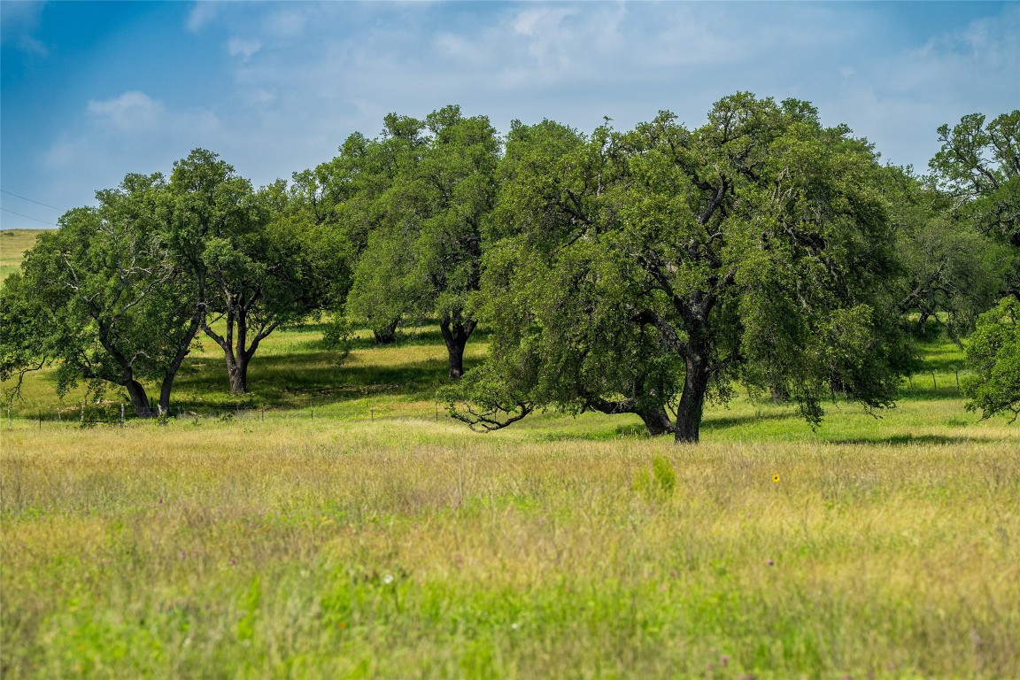302 Hye-Albert Road Hye, TX 78635 - Photo 26 of 34 a view of yard with trees