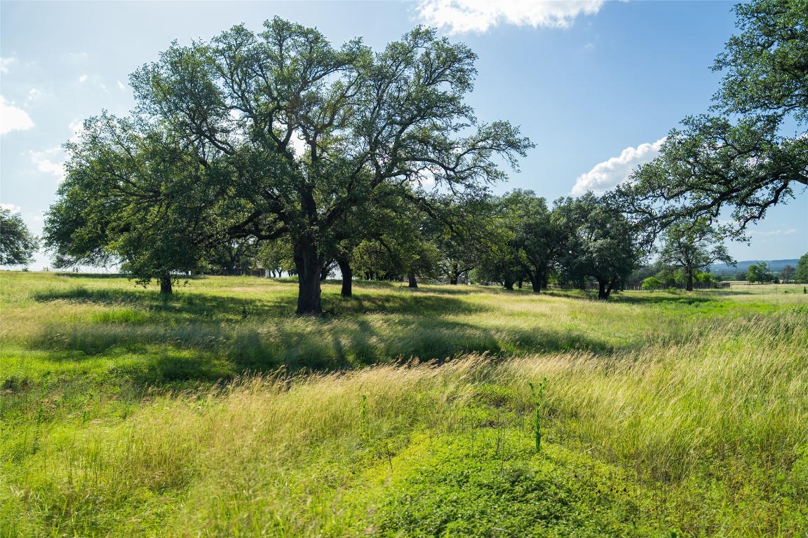 302 Hye-Albert Road Hye, TX 78635 - Photo 29 of 34 a view of grassy field with benches and trees all around
