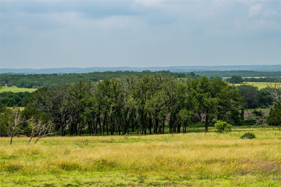 302 Hye-Albert Road Hye, TX 78635 - Photo 30 of 34 a view of a city with large trees