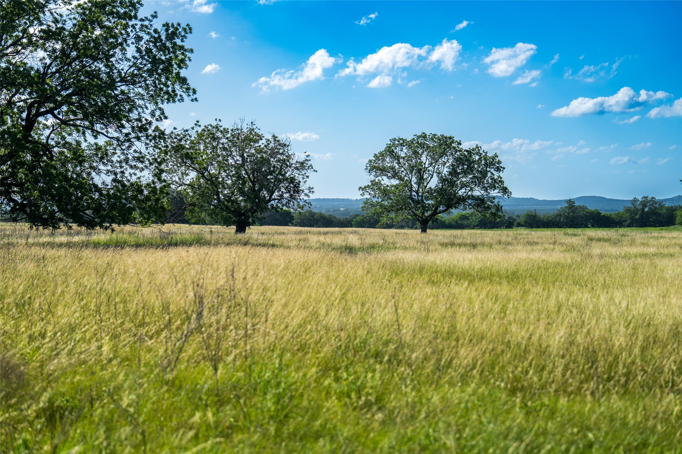302 Hye-Albert Road Hye, TX 78635 - Photo 31 of 34 a view of a swimming pool with an outdoor space and seating area