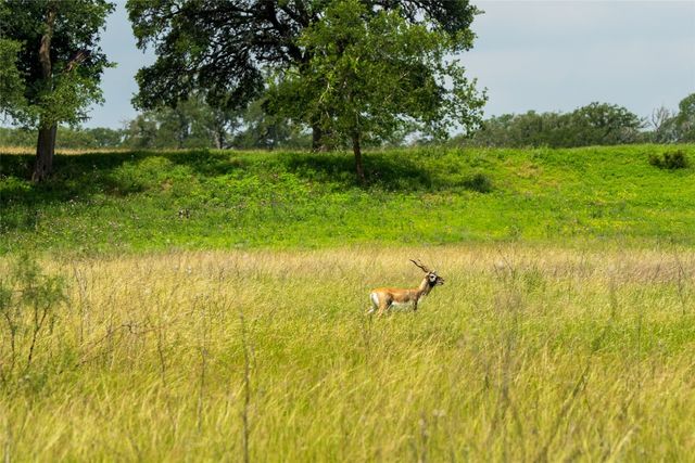 a view of a lake view