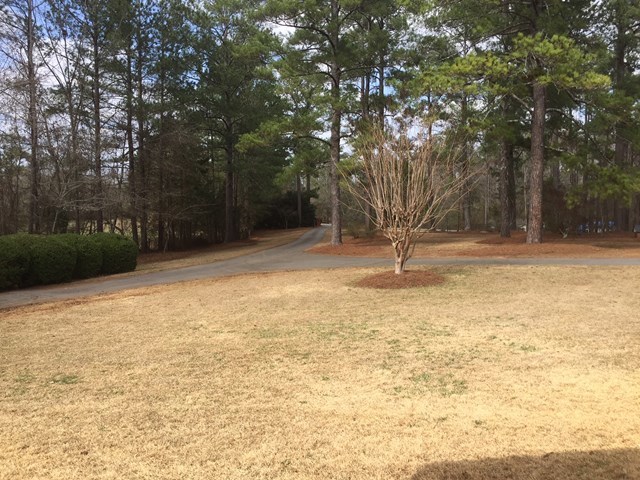 159 Joe Chambers Road Forsyth, GA 31029 - Photo 22 of 28 a backyard of a house with lots of green space