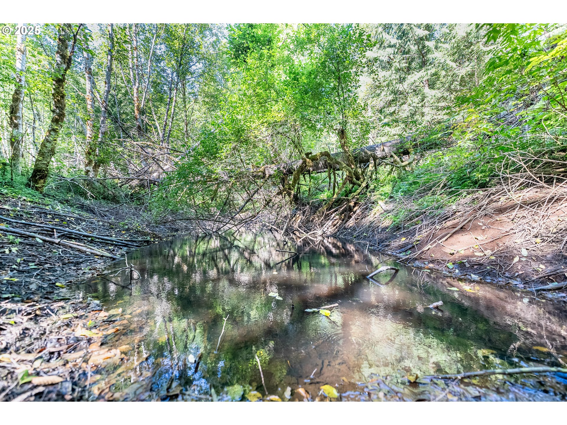 2220 Northeast Brower Road Corbett, OR 97019 - Photo 30 of 40 Gallery Image 30