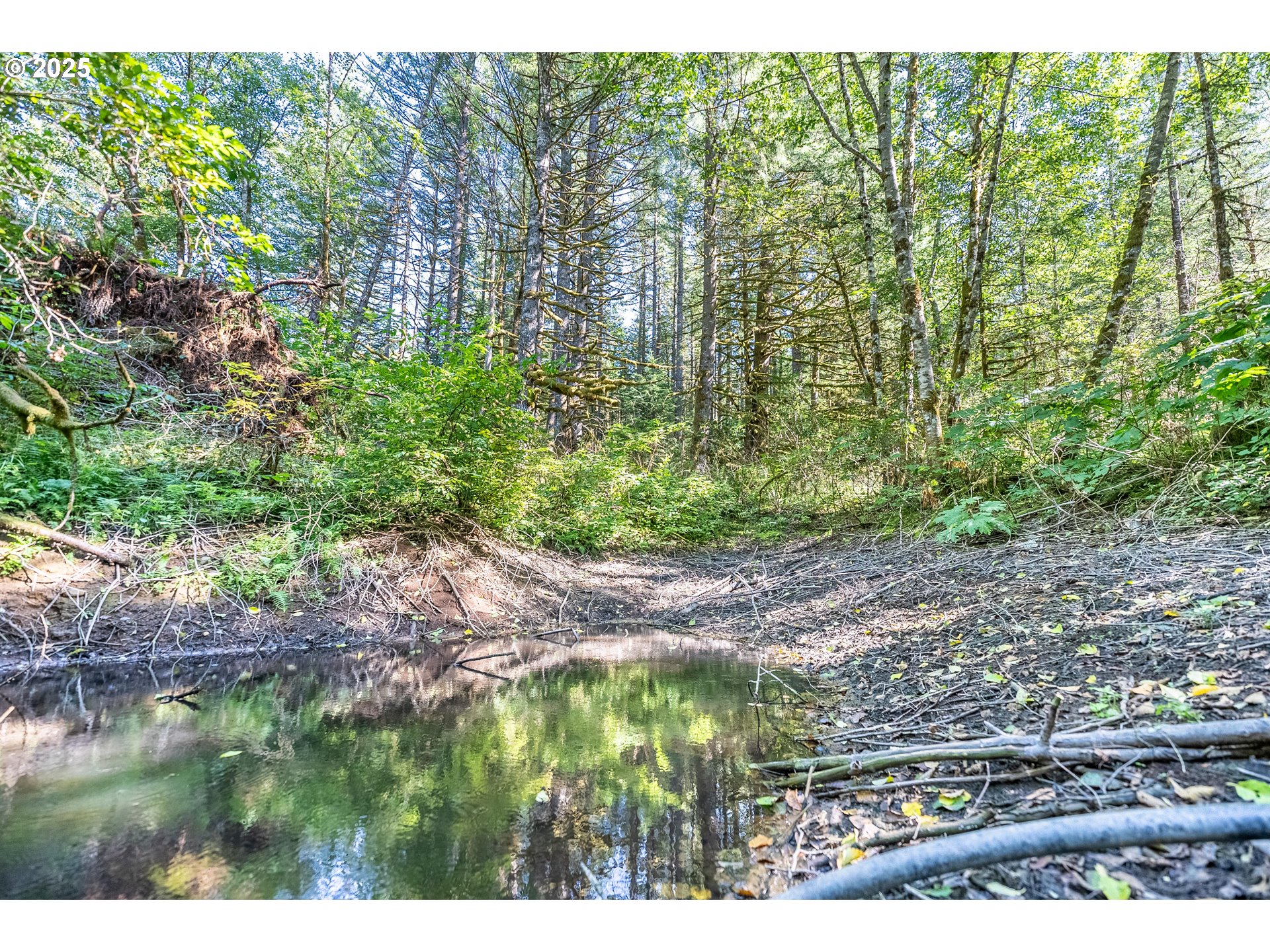 2220 Northeast Brower Road Corbett, OR 97019 - Photo 31 of 40 Gallery Image 31