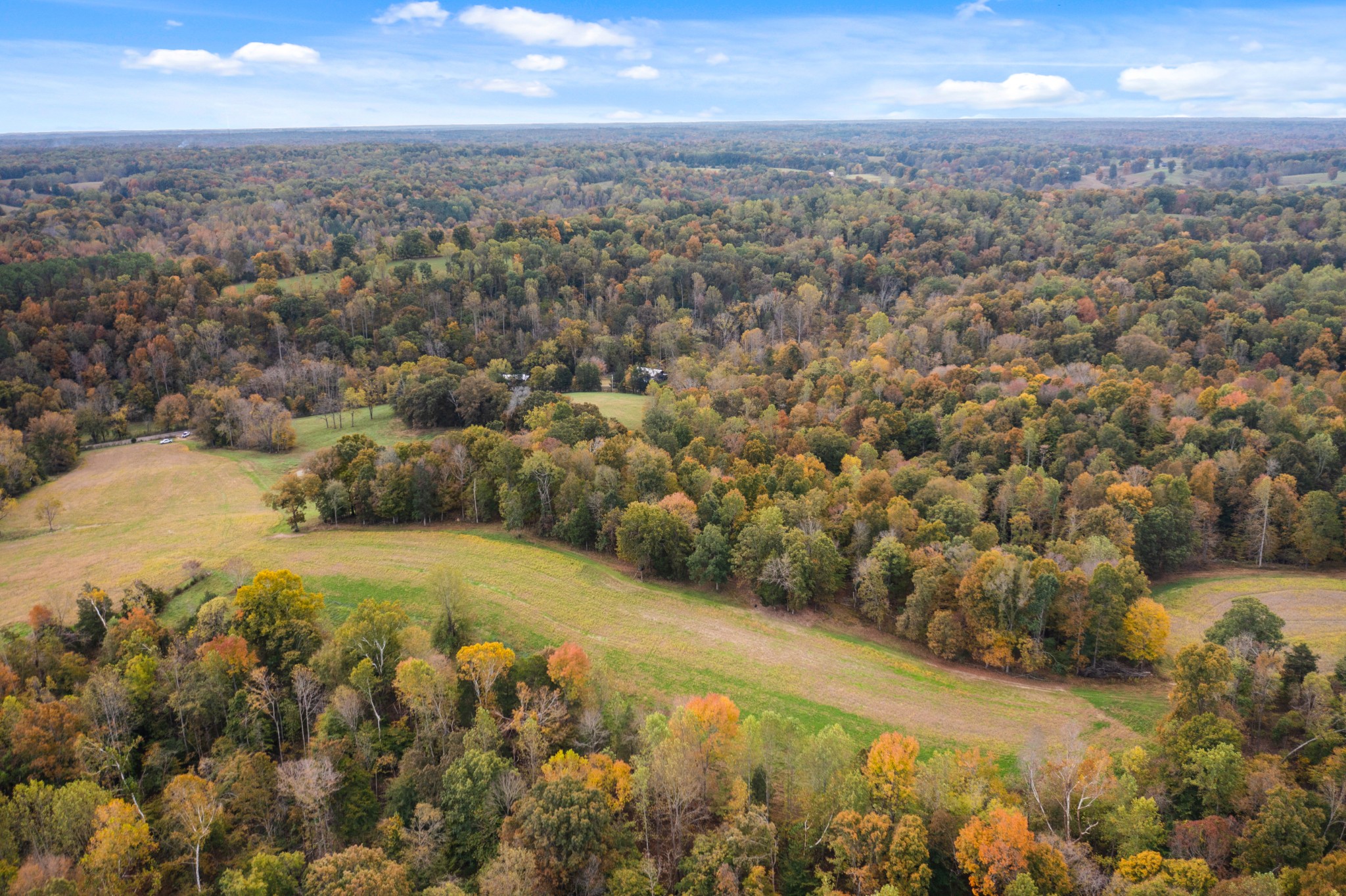0 Buck Smith Hill Road Palmyra, TN 37142 - Photo 11 of 21 an aerial view of residential houses with outdoor space