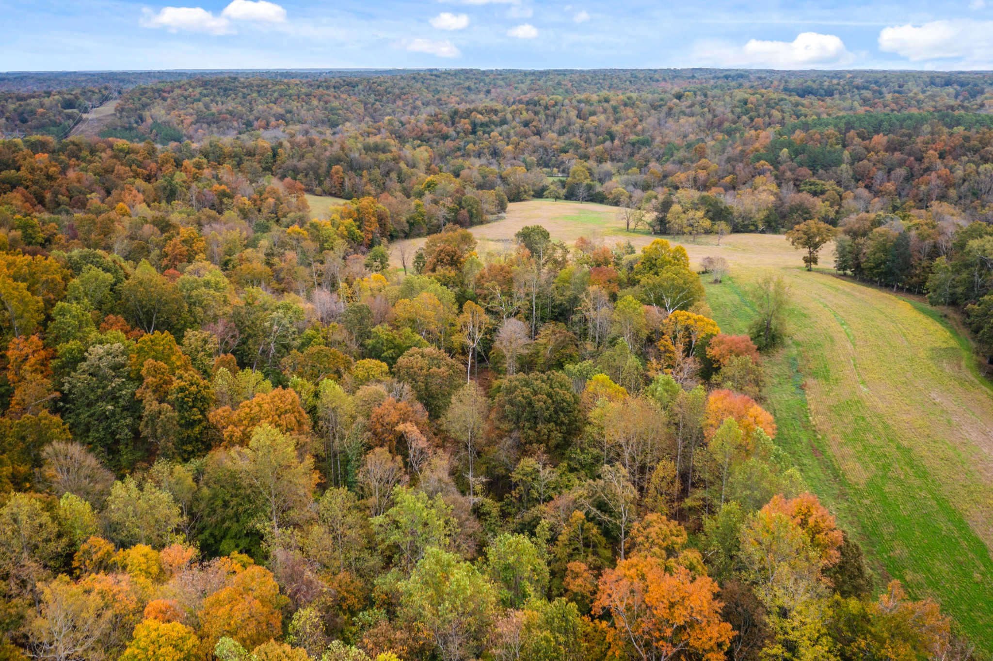 0 Buck Smith Hill Road Palmyra, TN 37142 - Photo 18 of 21 a view of a dry yard and mountain