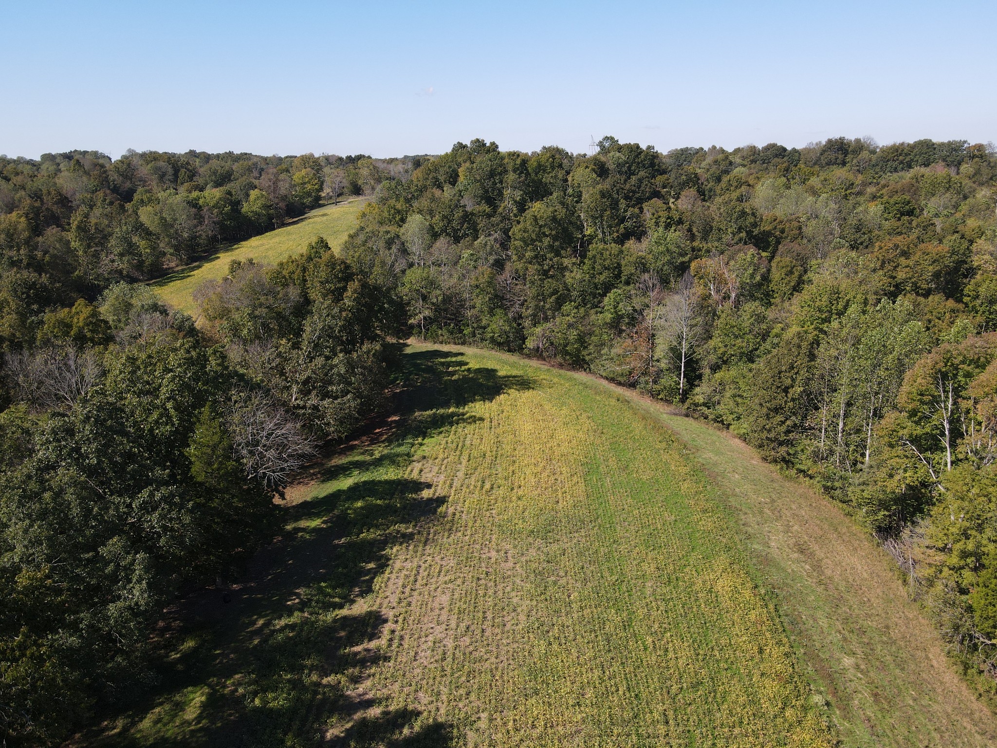 0 Buck Smith Hill Road Palmyra, TN 37142 - Photo 5 of 21