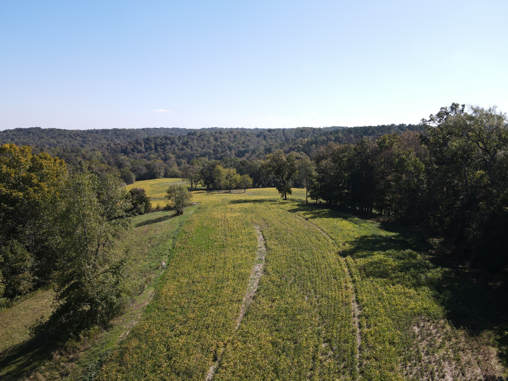 0 Buck Smith Hill Road Palmyra, TN 37142 - Photo 6 of 21 a view of outdoor space and mountain view