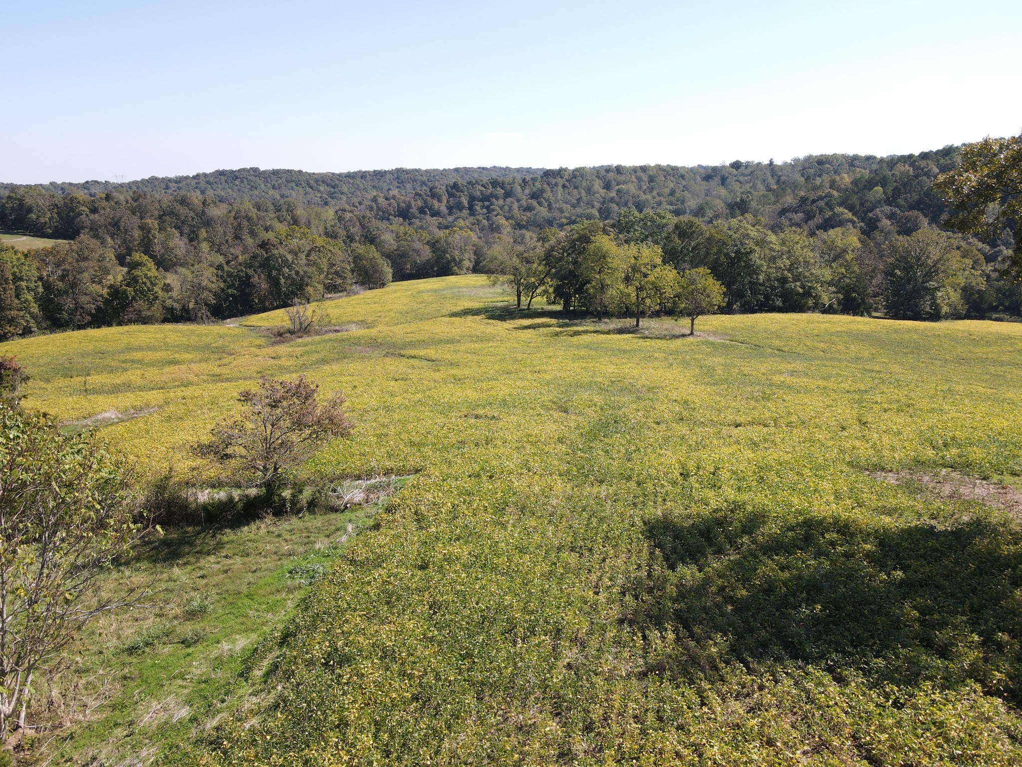 0 Buck Smith Hill Road Palmyra, TN 37142 - Photo 8 of 21 a view of lake with mountain