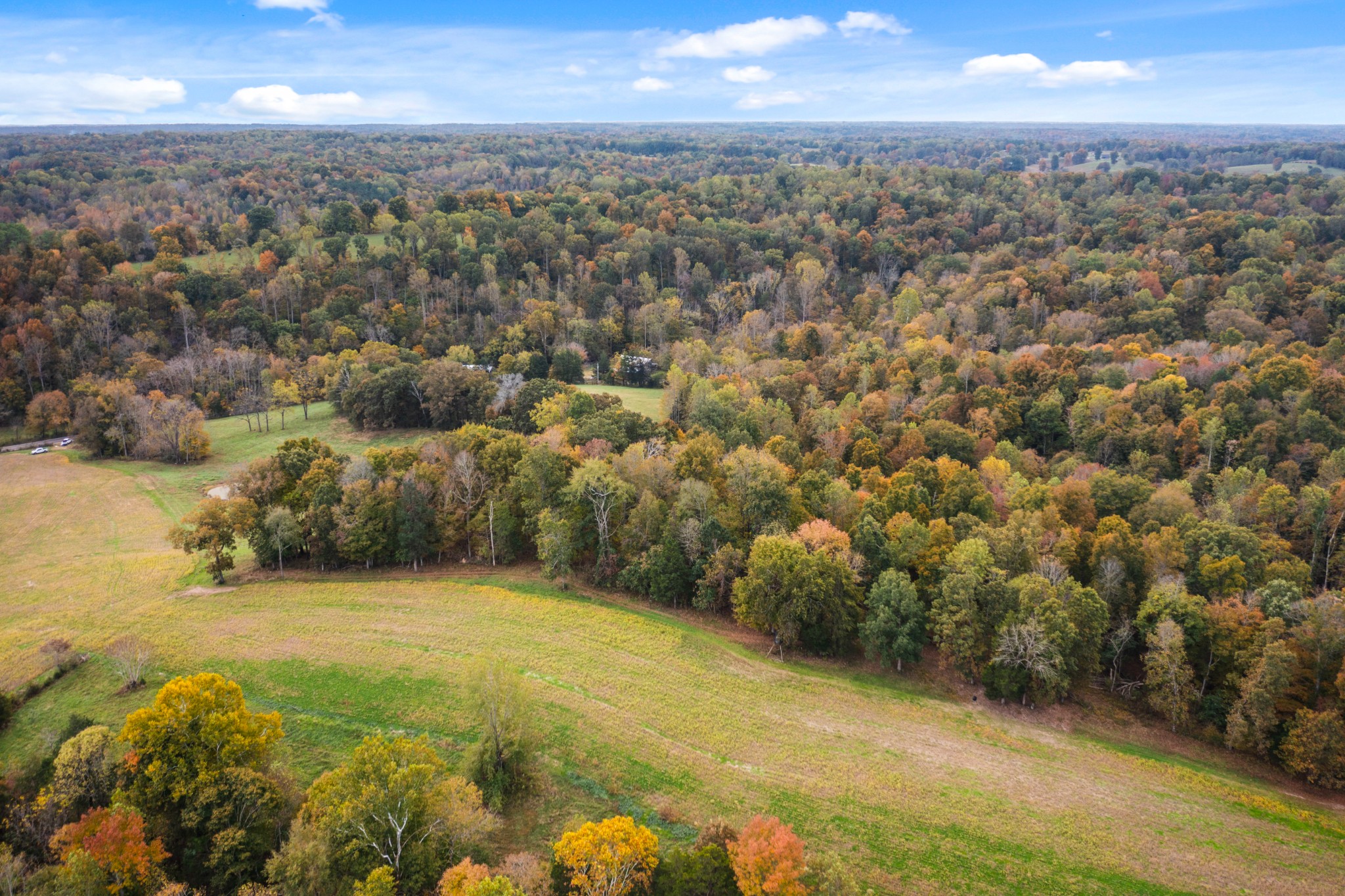 0 Buck Smith Hill Road Palmyra, TN 37142 - Photo 10 of 21 an aerial view of residential houses with outdoor space