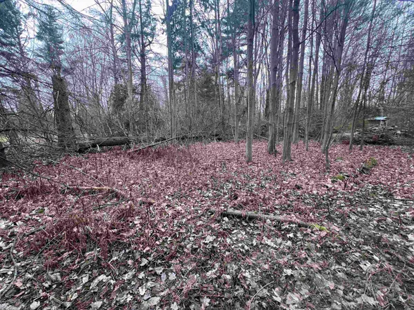 $29,900 | M35 State Highway, Menominee, MI 49858