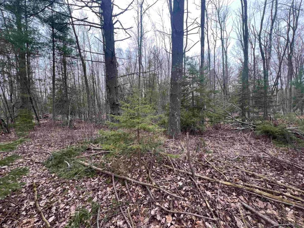 $29,900 | M35 State Highway, Menominee, MI 49858