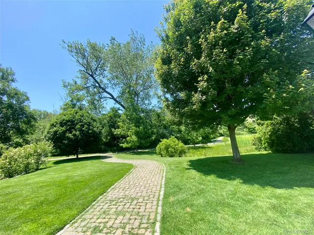 a view of a park with large trees