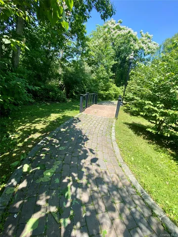 a view of a yard with plants