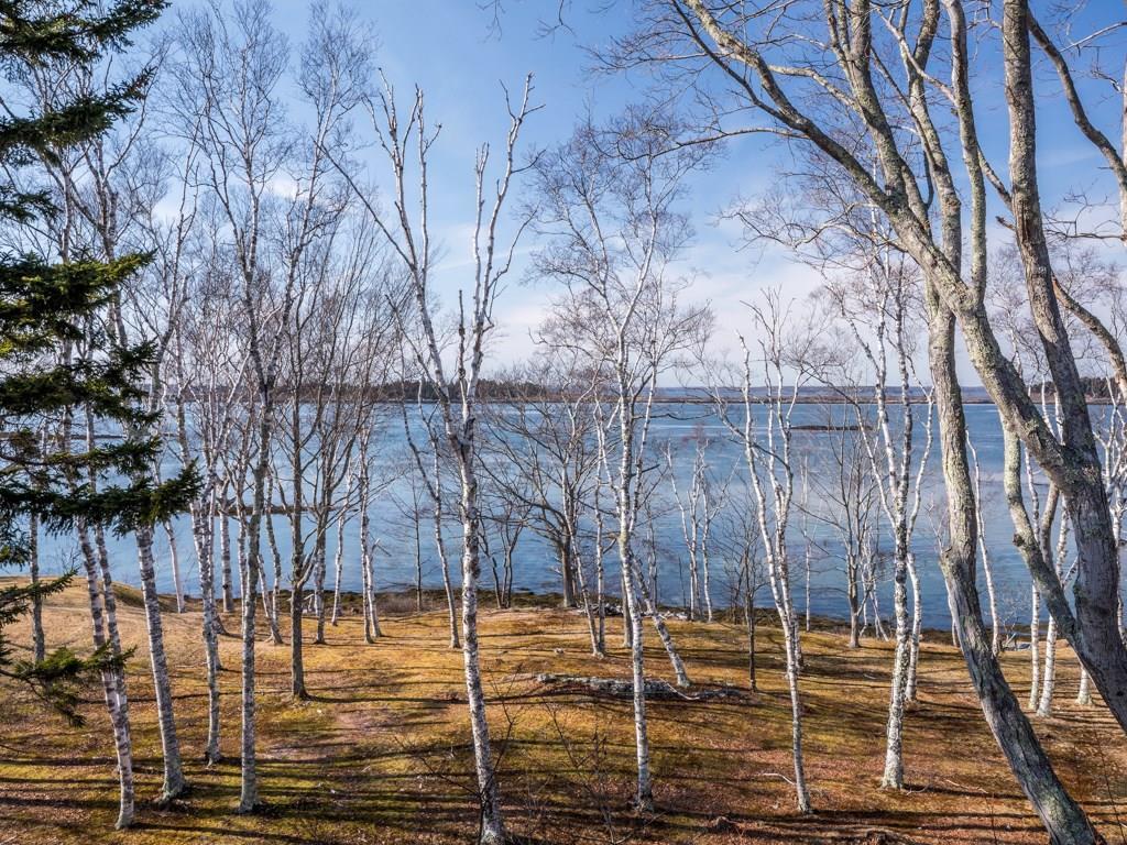 464 Basin Point Road Harpswell, ME 04079 - Photo 9 of 27 Looking towards water across mossy...