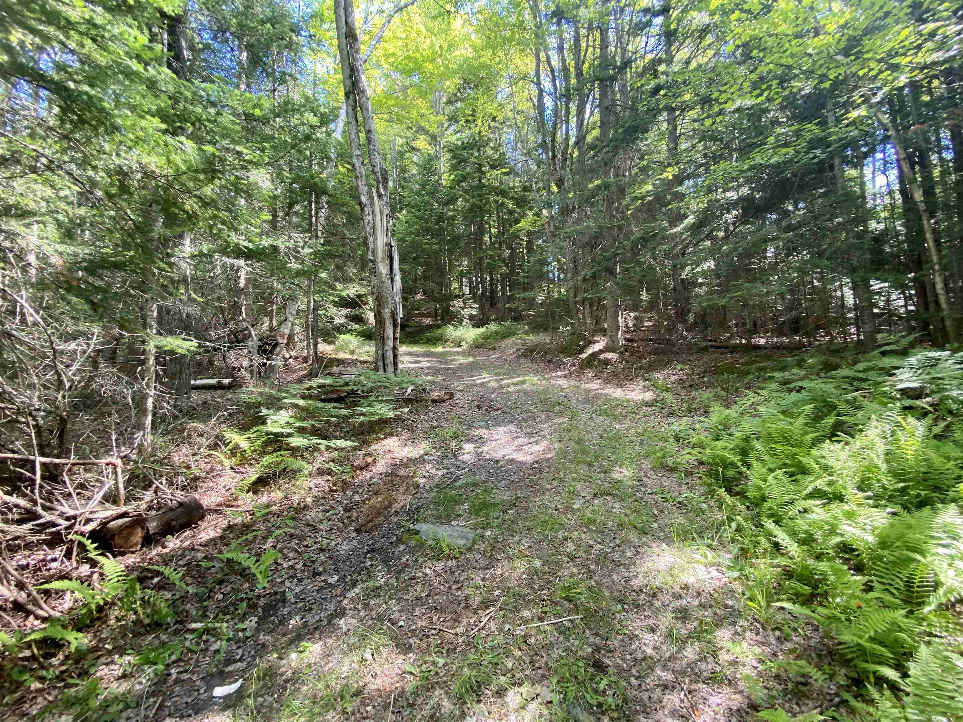 28 Barrette Road Stewartstown, NH 03576 - Photo 8 of 10