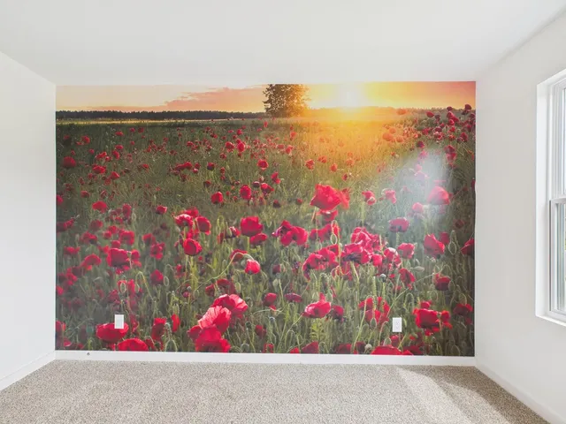 a view of lot of flowers in the background