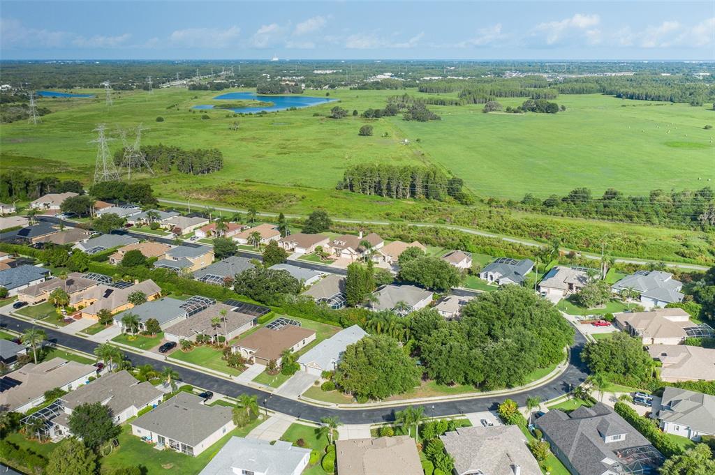 2151 Edelweiss Loop Trinity, FL 34655 - Photo 54 of 78