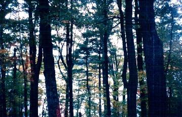 1239 Reservoir Road Otis, MA 01029 - Photo 2 of 2