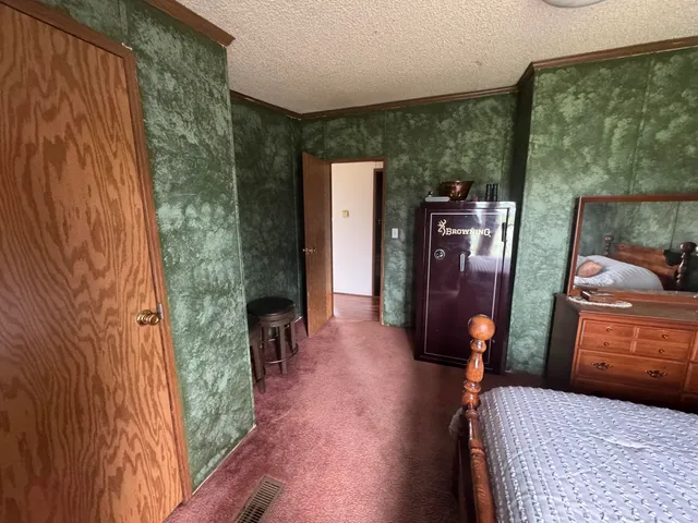 $250,000 | 3828 90th Avenue, Evart, MI 49631