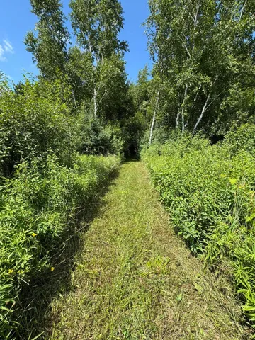 $250,000 | 3828 90th Avenue, Evart, MI 49631