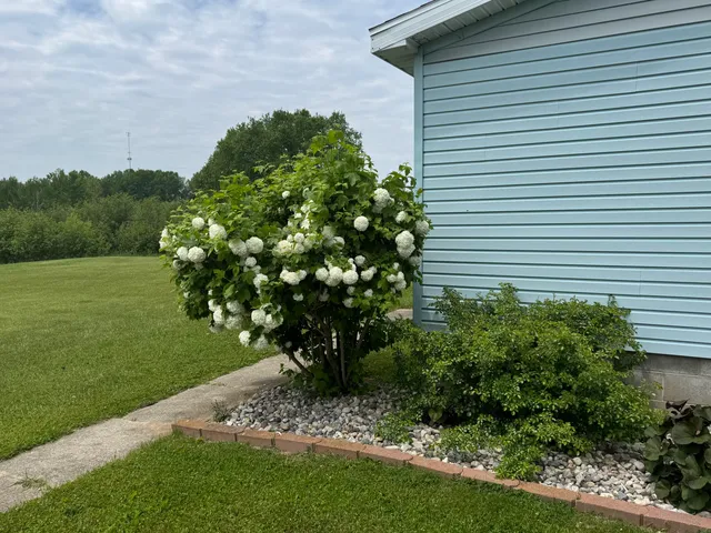 $250,000 | 3828 90th Avenue, Evart, MI 49631