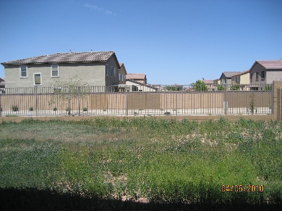 6854 West Carson Road Laveen, AZ 85339 - Photo 3 of 5 BACKYARD
