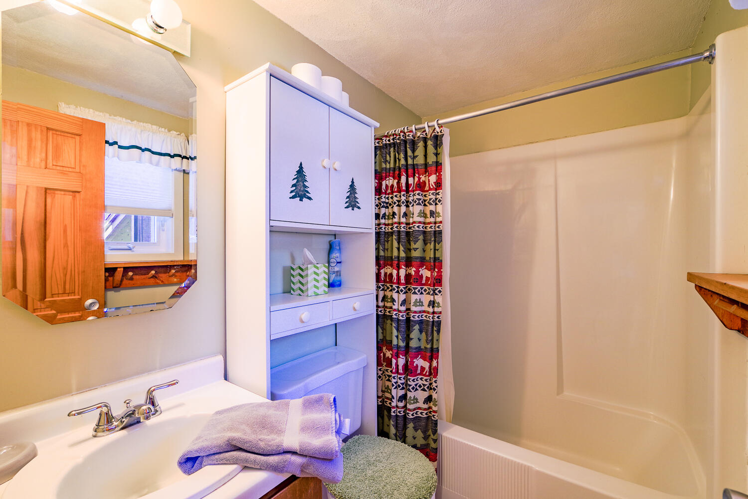 2255 Caribou Mountain Road, Unit 2255 Kingfield, ME 04947 - Photo 9 of 17 2255 Caribou Mtn Lane 16