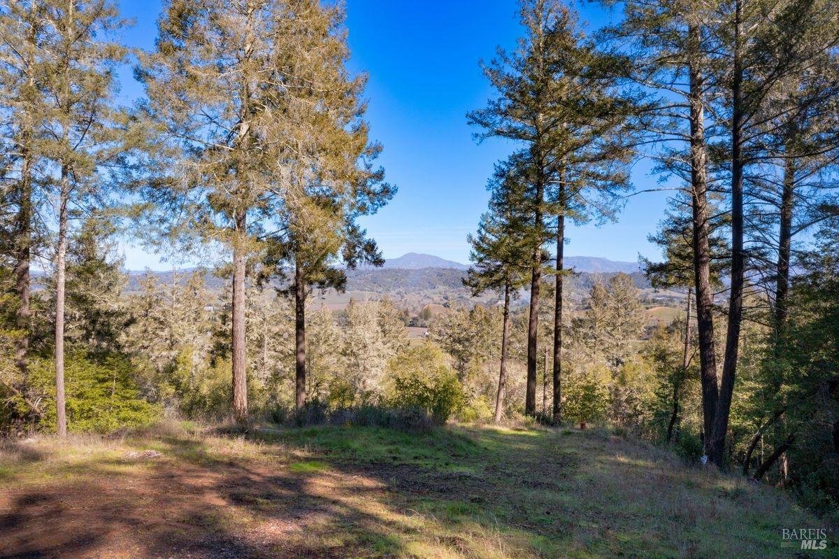 3210 West Dry Creek Road Healdsburg, CA 95448 - Photo 14 of 31