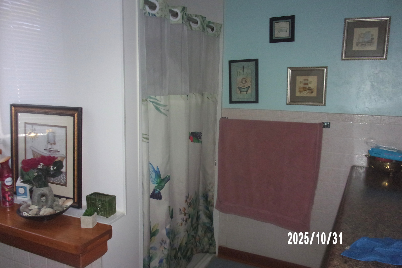 407 East Pine Street Chatsworth, IL 60921 - Photo 20 of 25