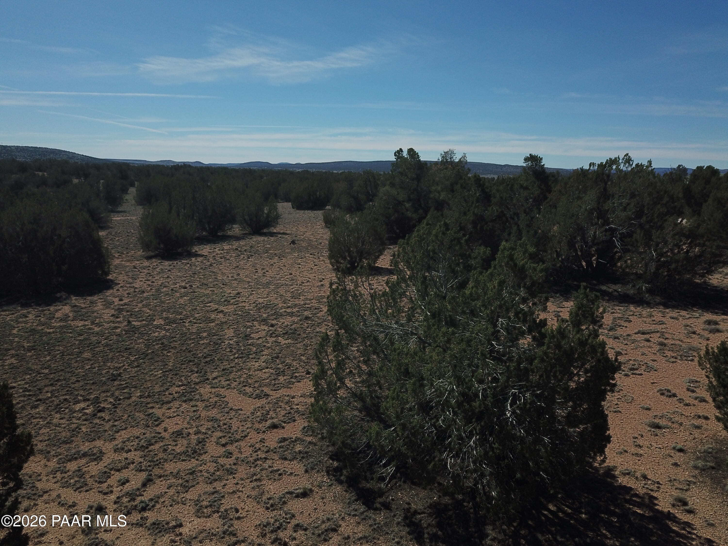 25935 Fort Rock Road Seligman, AZ 86337 - Photo 9 of 11 DJI_0456