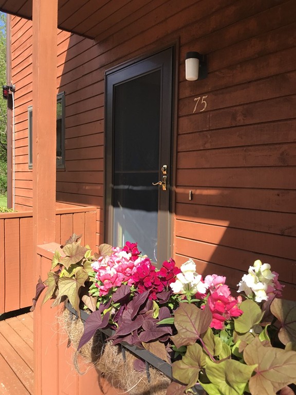 75 Spaulding Street, Unit 75 Amherst, MA 01002 - Photo 2 of 36 a vase of flowers sitting on a wooden floor