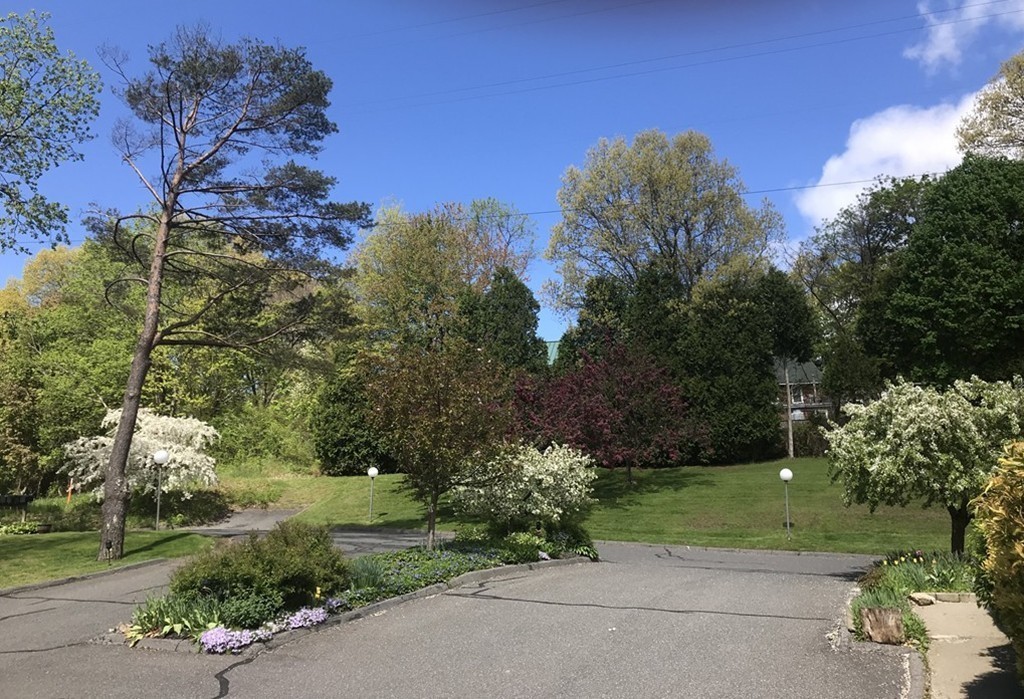 75 Spaulding Street, Unit 75 Amherst, MA 01002 - Photo 35 of 36 a view of a street with a house in the background