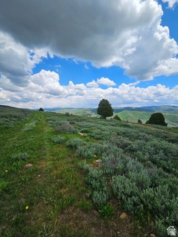 3378 North Oak Cyn Road, Unit 526 Huntsville, UT 84317 - Photo 18 of 24 View of yard with a view of rural / pastoral area
