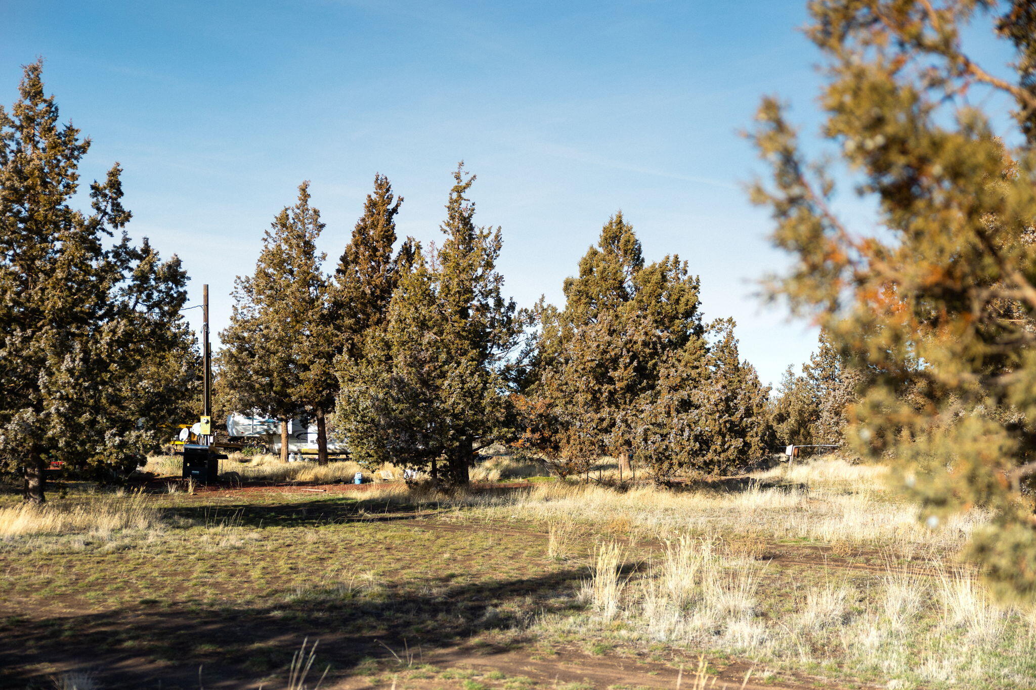 7598 SW Shad Rd (7 of 14)