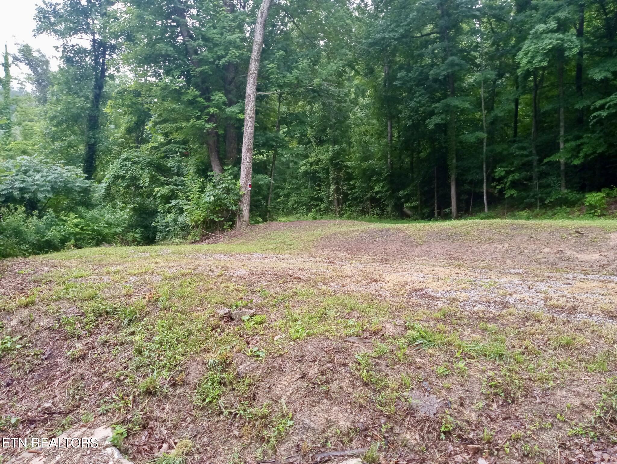 Roe Lane Winfield, TN 37892 - Photo 3 of 9 IMG_20260627_131559844