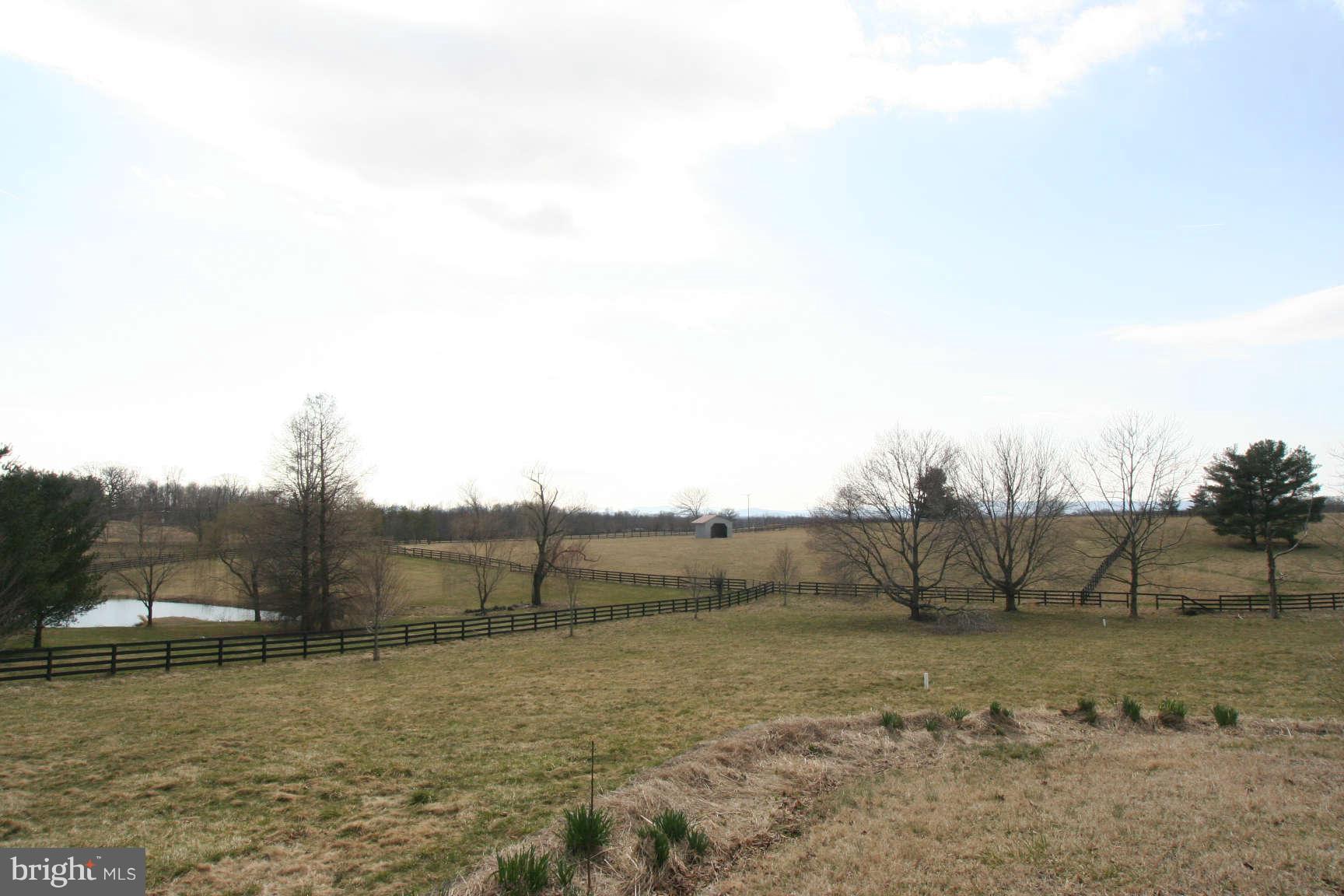 22415 Cider Spring Place Middleburg, VA 20117 - Photo 7 of 8 PondView