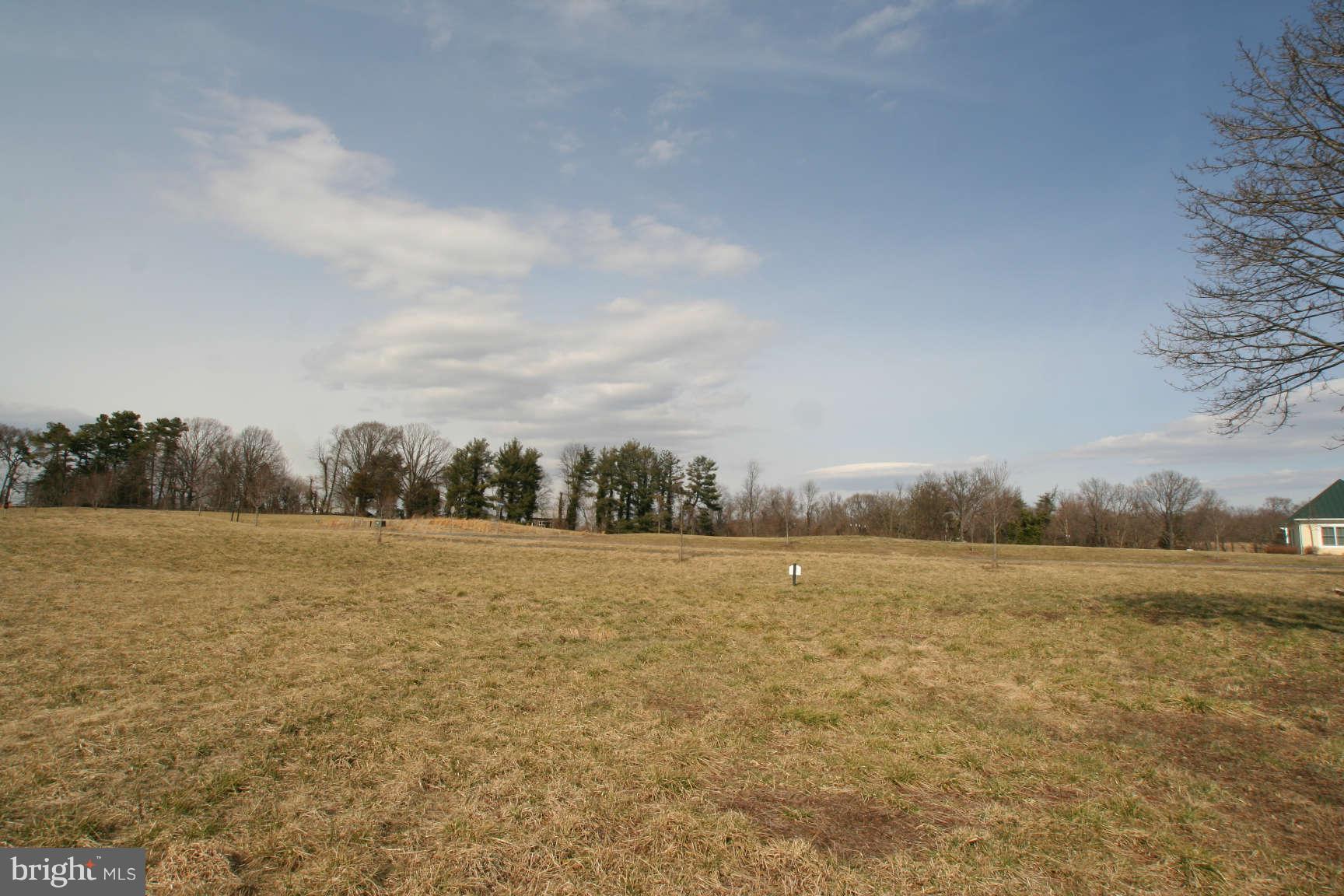 22415 Cider Spring Place Middleburg, VA 20117 - Photo 8 of 8 View