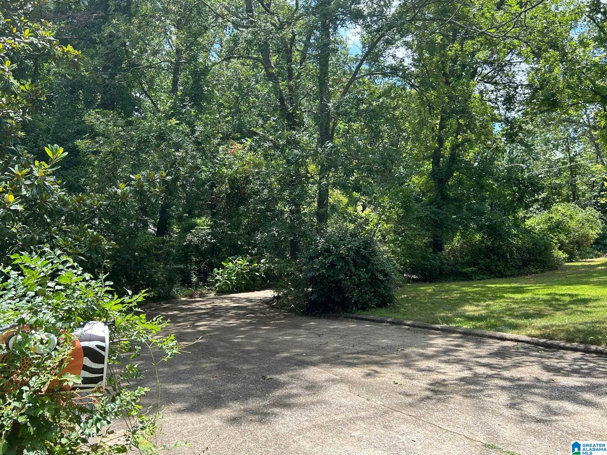 410 Rocky Ridge Road Northeast Jacksonville, AL 36265 - Photo 16 of 41