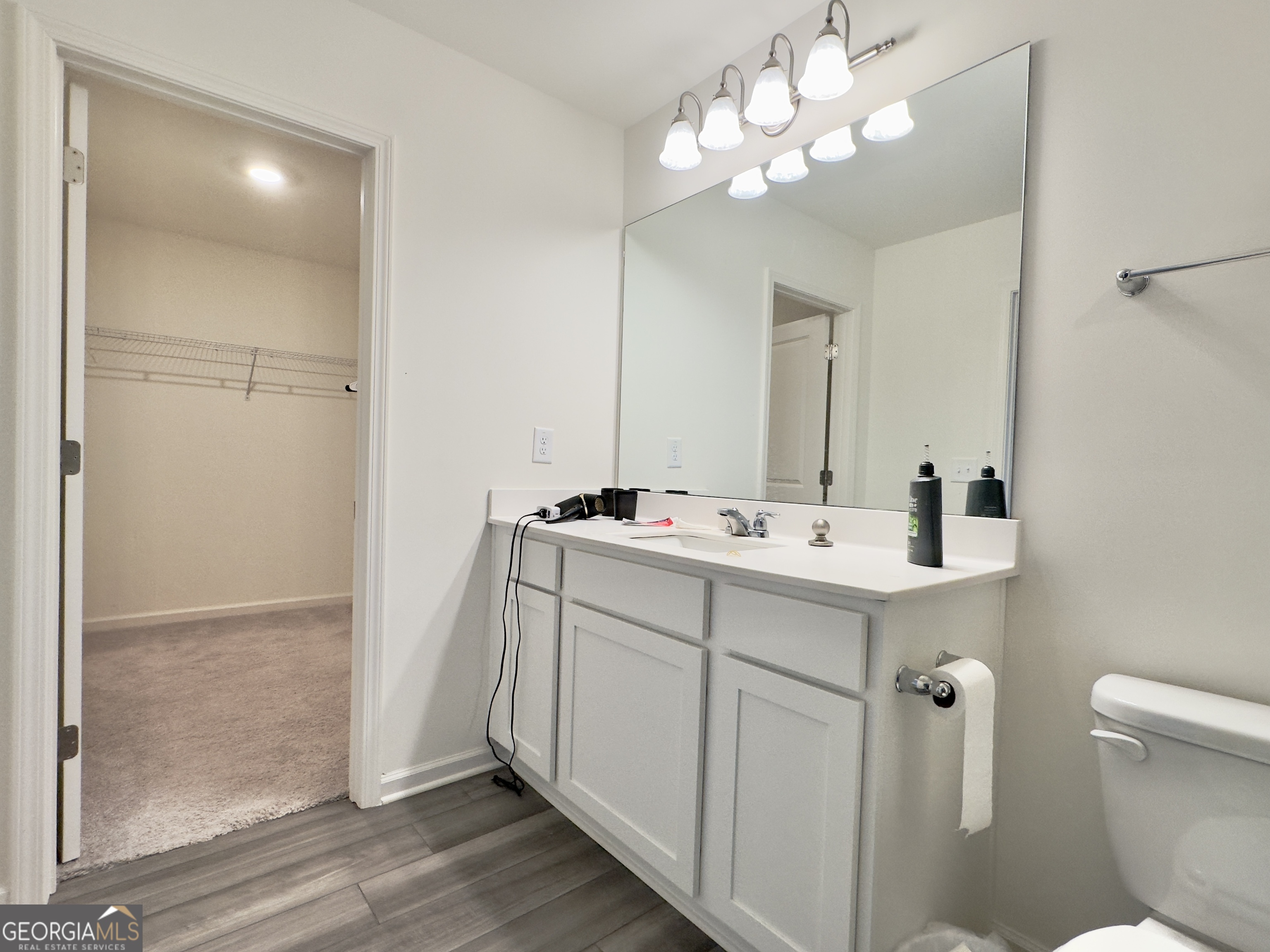 107 Ellicott Way Cartersville, GA 30120 - Photo 15 of 25 a bathroom with a sink a toilet and a mirror