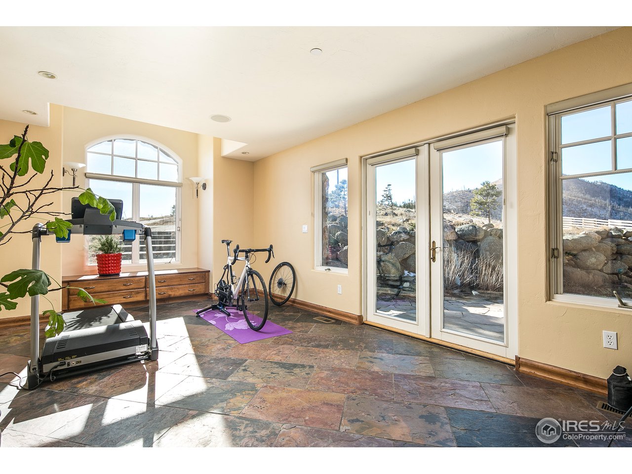 355 Mountain King Road Boulder, CO 80302 - Photo 19 of 34 a view of a livingroom with furniture wooden floor and a potted plant