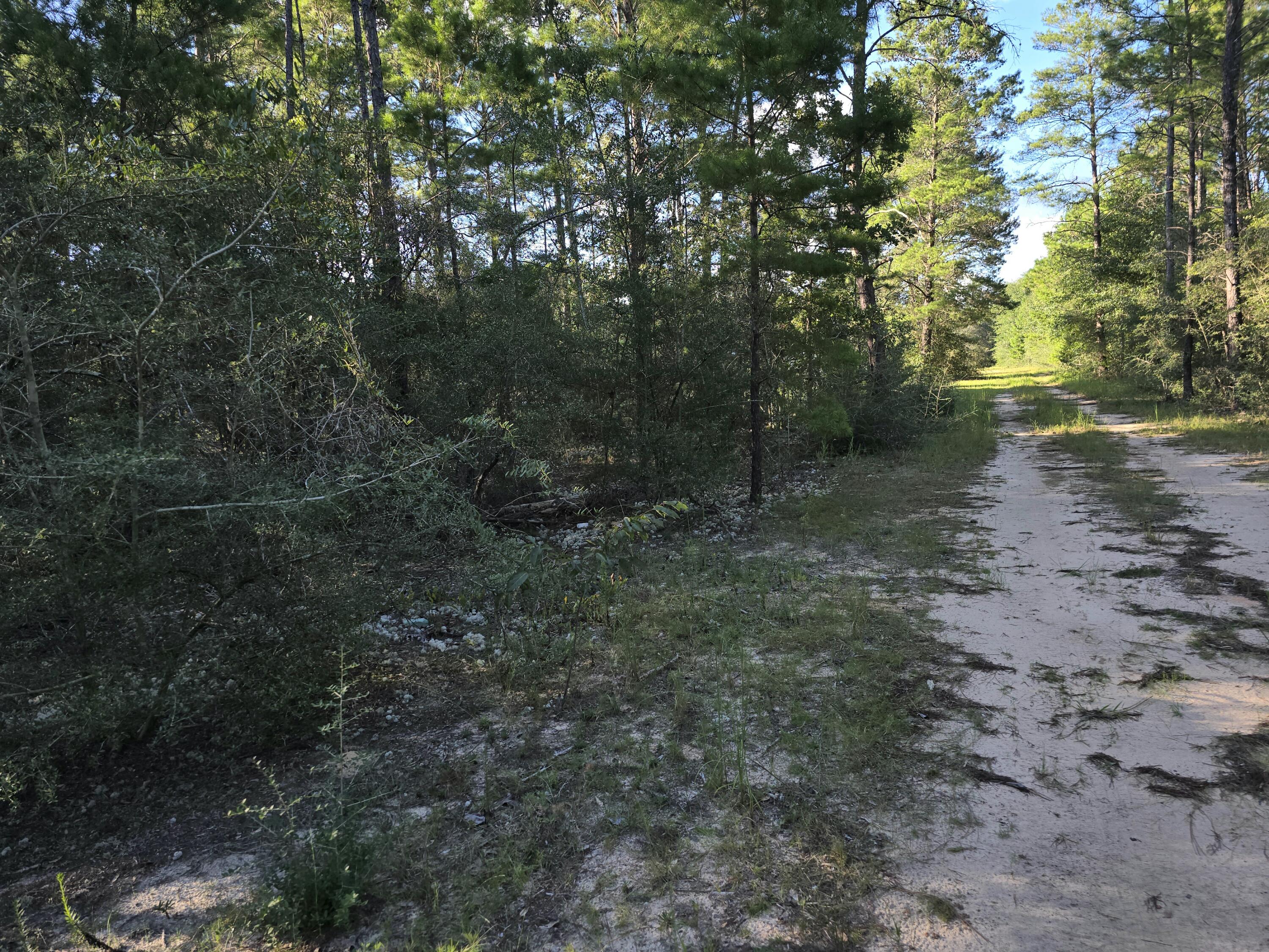 Tbd Randi Road Crestview, FL 32539 - Photo 9 of 10 1000131280