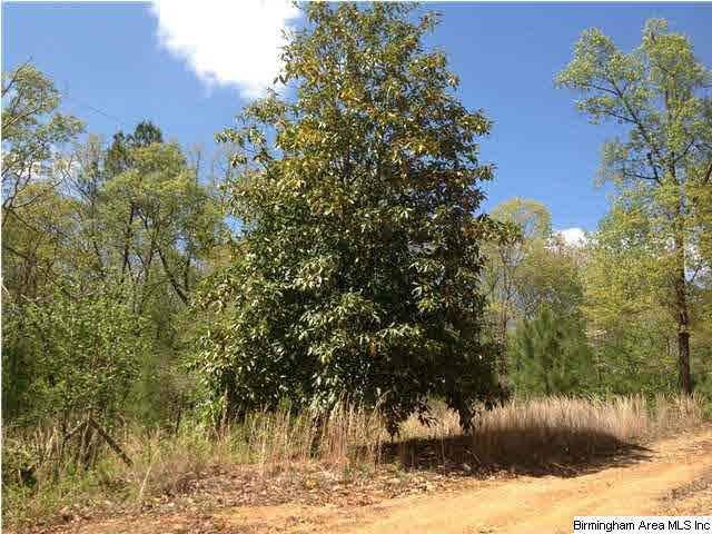 630 Wildcat Road, Unit 5 AC Buchanan, GA 30113 - Photo 11 of 17 Gallery Image 11