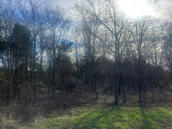 $139,000 | 3115 Tunnel Hill Road, Ozark, IL 62972