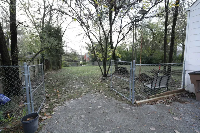 a view of a forest with trees