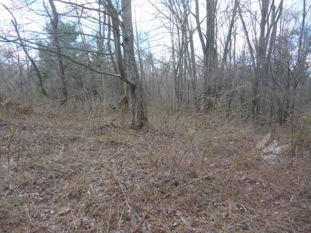0 Johnstown-Alexandria Road Johnstown, OH 43031 - Photo 2 of 5