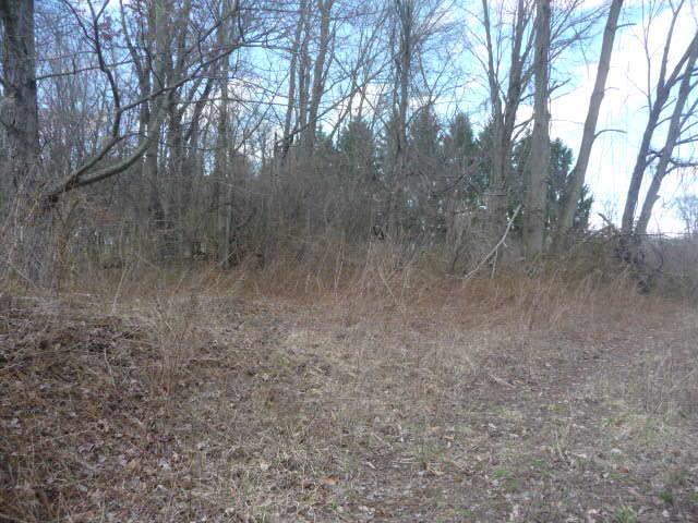 0 Johnstown-Alexandria Road Johnstown, OH 43031 - Photo 3 of 5