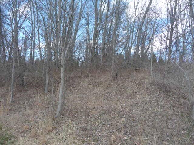 0 Johnstown-Alexandria Road Johnstown, OH 43031 - Photo 5 of 5